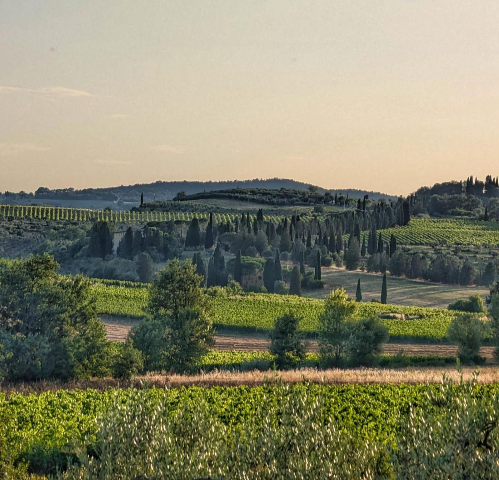 Il Saragio Villa Abbadia di Montepulciano Exterior photo