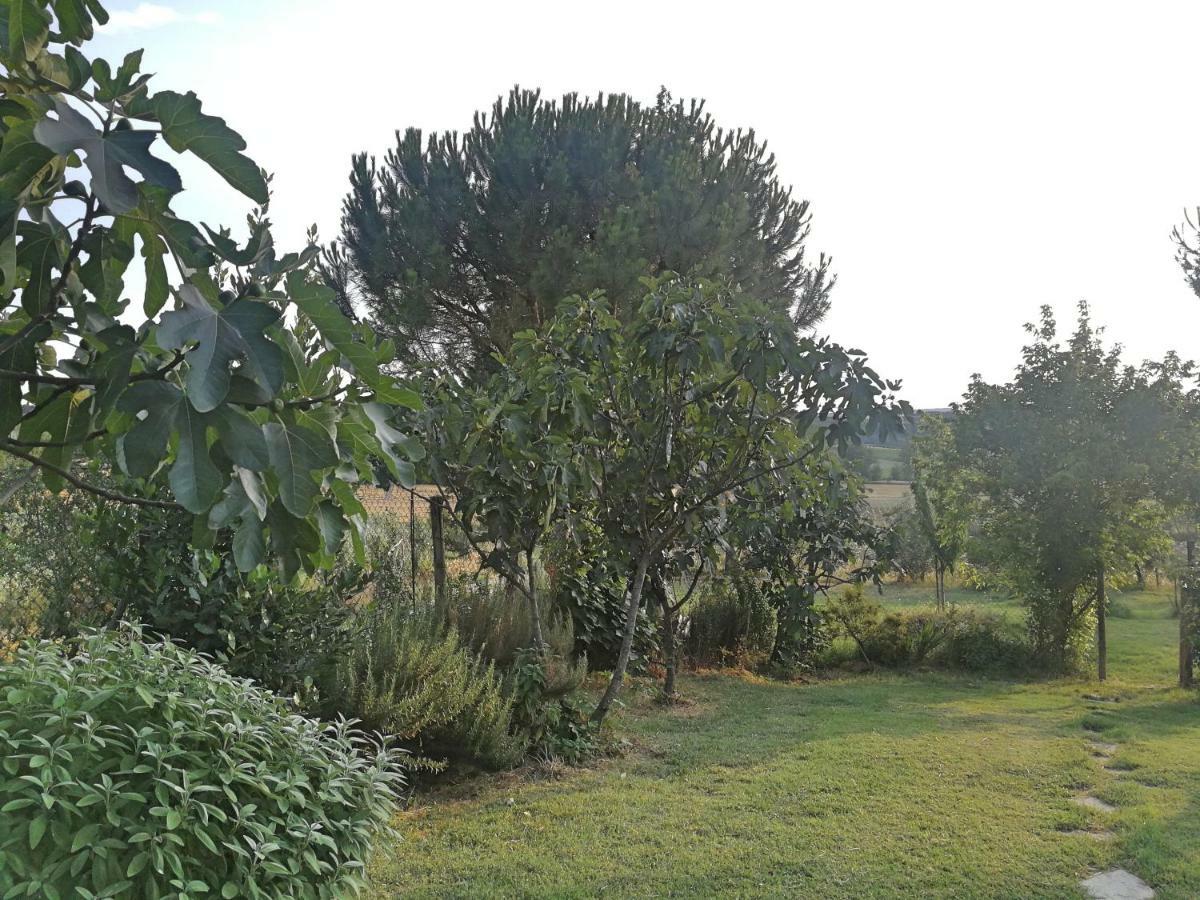 Il Saragio Villa Abbadia di Montepulciano Exterior photo